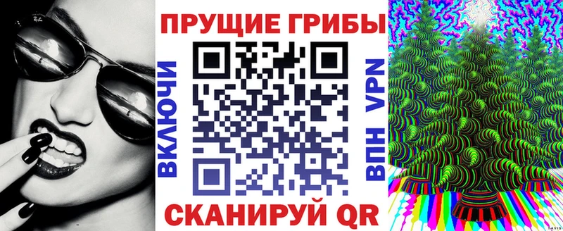 Псилоцибиновые грибы мицелий  купить  сайты  Углегорск 